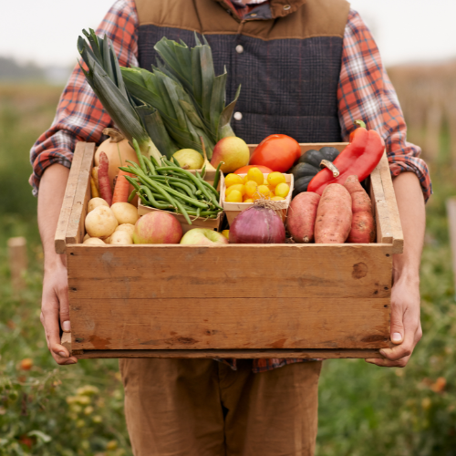 Person holding a wooden crate filled with freshly harvested seasonal vegetables from the garden at Genevieve Grove, Tuscany