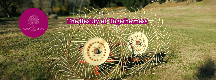 Traditional farming tool resting on the land at Genevieve Grove, reflecting the agricultural history and working relationship with the Tuscan countryside. Antico strumento agricolo posato sulla terra a Genevieve Grove, testimonianza della storia rurale e del rapporto di lavoro con la campagna toscana.