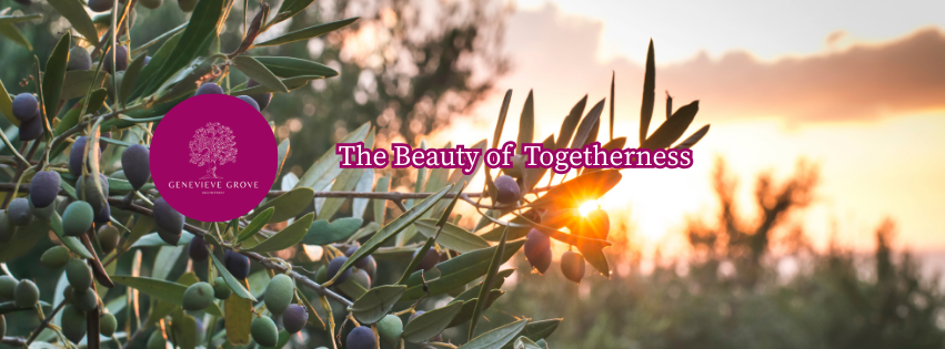 Olive branches at sunset at Genevieve Grove, capturing seasonal life and daily rhythms in the Tuscan countryside. Rami di ulivo al tramonto a Genevieve Grove, che raccontano la vita stagionale e i ritmi quotidiani della campagna toscana.