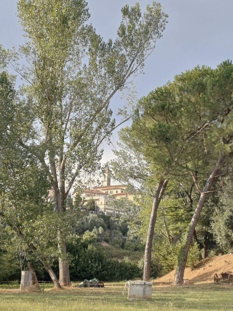 Garden View Toward Vinci – A Quiet Retreat Steps from Leonardo’s Birthplace