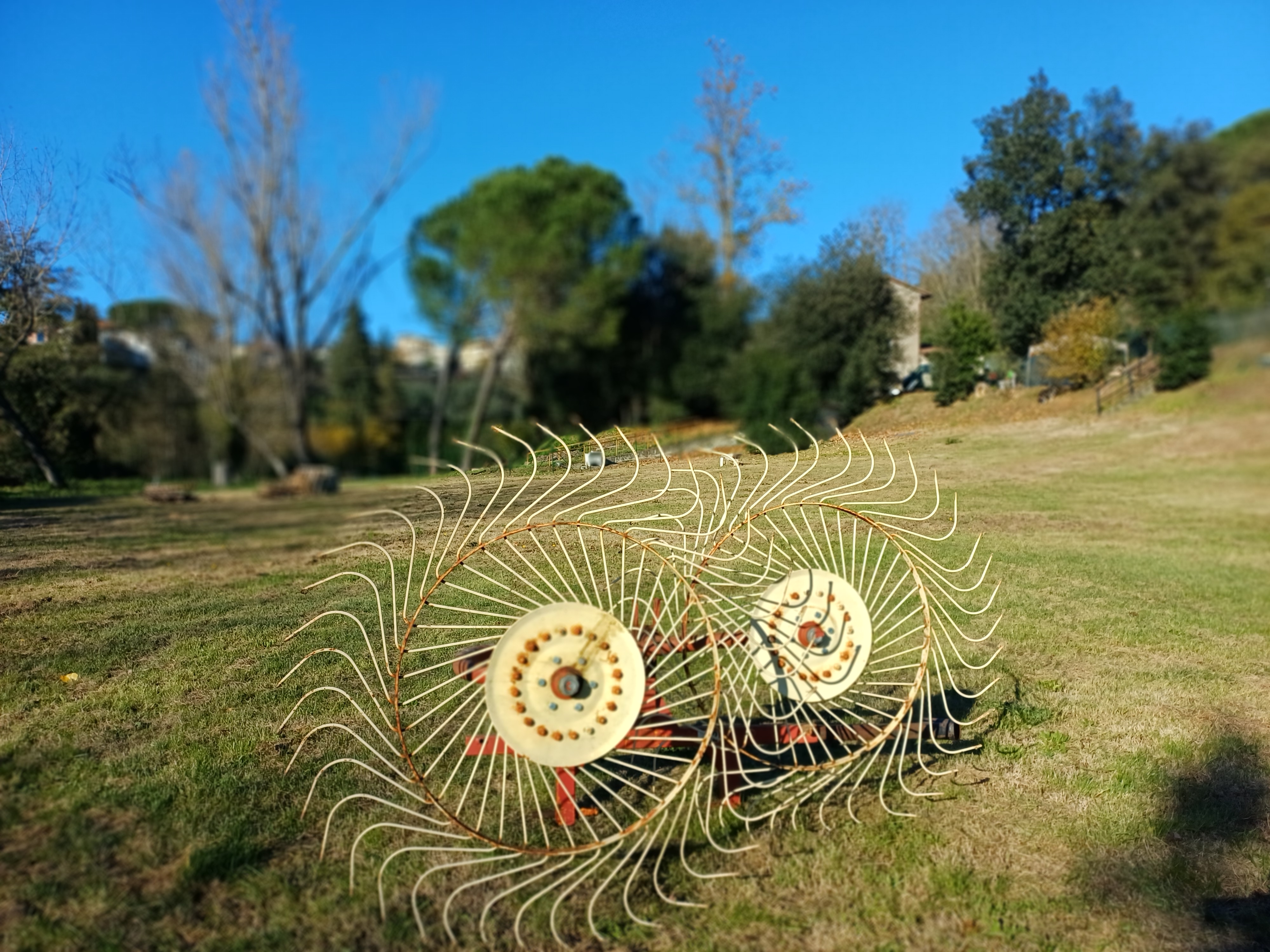 “Antique Tuscan farm tool in an open field at Genevieve Grove in Vinci, Italy.”