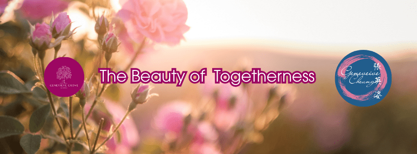 Soft pink roses in bloom at Genevieve Grove, symbolizing togetherness, care, and the personal journey behind the retreat in Tuscany. Rose rosa in fiore a Genevieve Grove, simbolo di condivisione, cura e del percorso personale alla base del rifugio in Toscana.