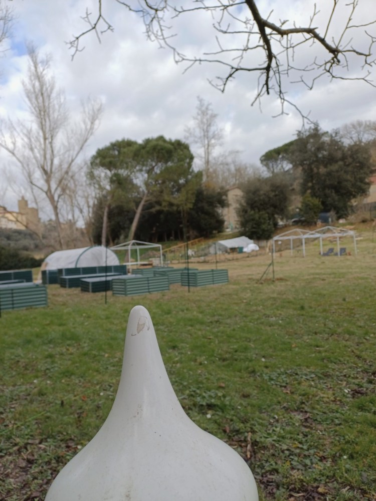 Buddha statue facing the vegetable garden with raised beds and greenhouse structures in a Tuscan countryside backyard under a cloudy sky.