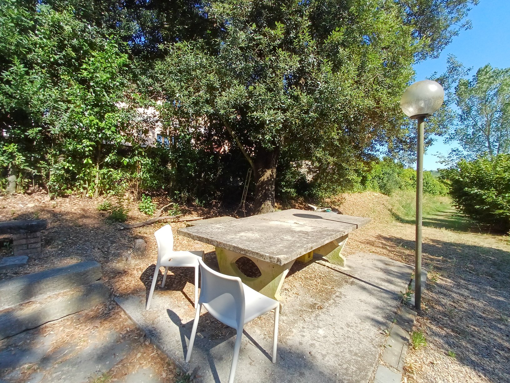 Stone garden table under large trees at Genevieve Grove homestead in the Tuscan countryside.