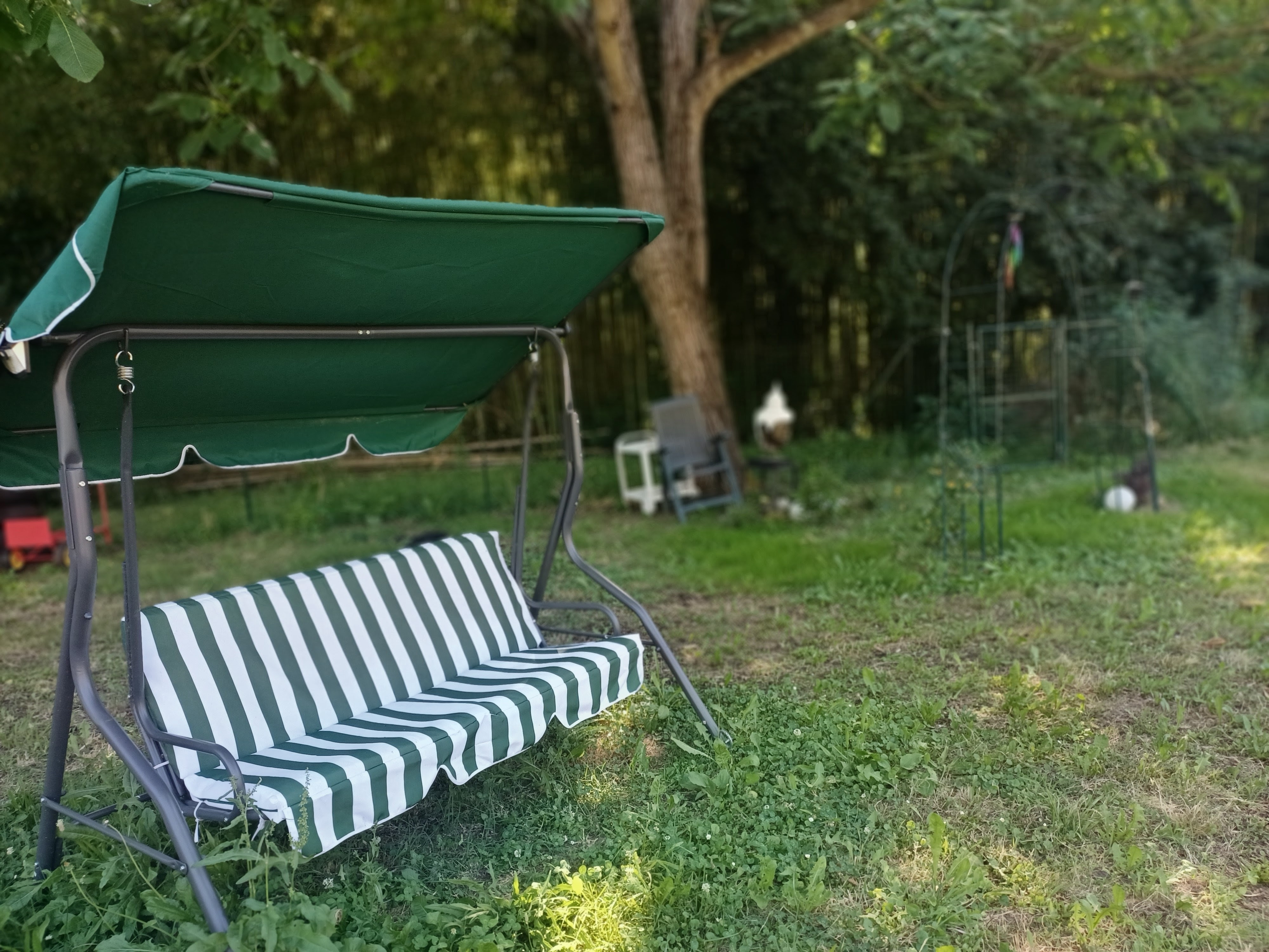 Green garden swing beneath mature trees in a peaceful shaded area at Genevieve Grove, Tuscany