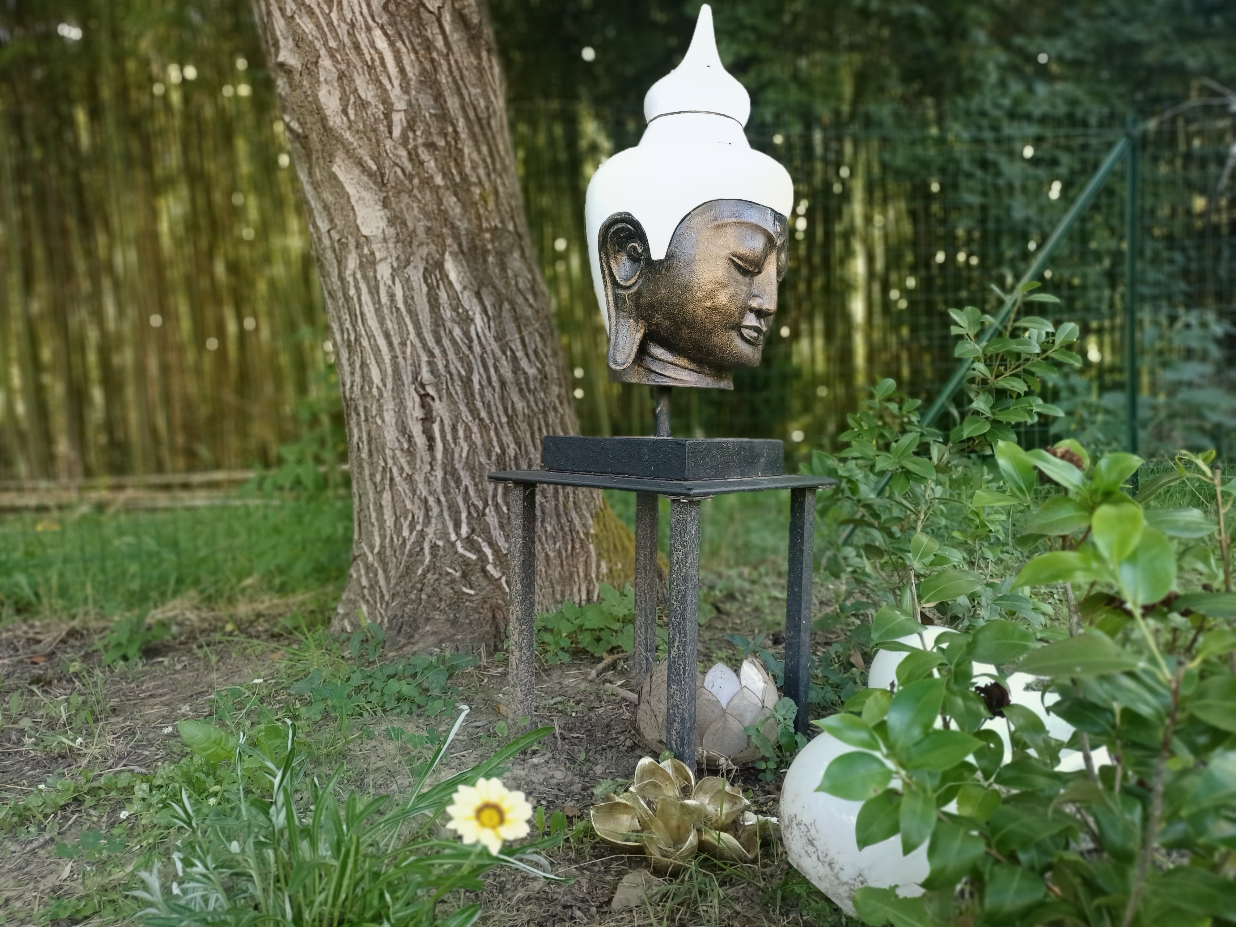 Buddha sculpture in a peaceful garden surrounded by bamboo and greenery at Genevieve Grove in Tuscany