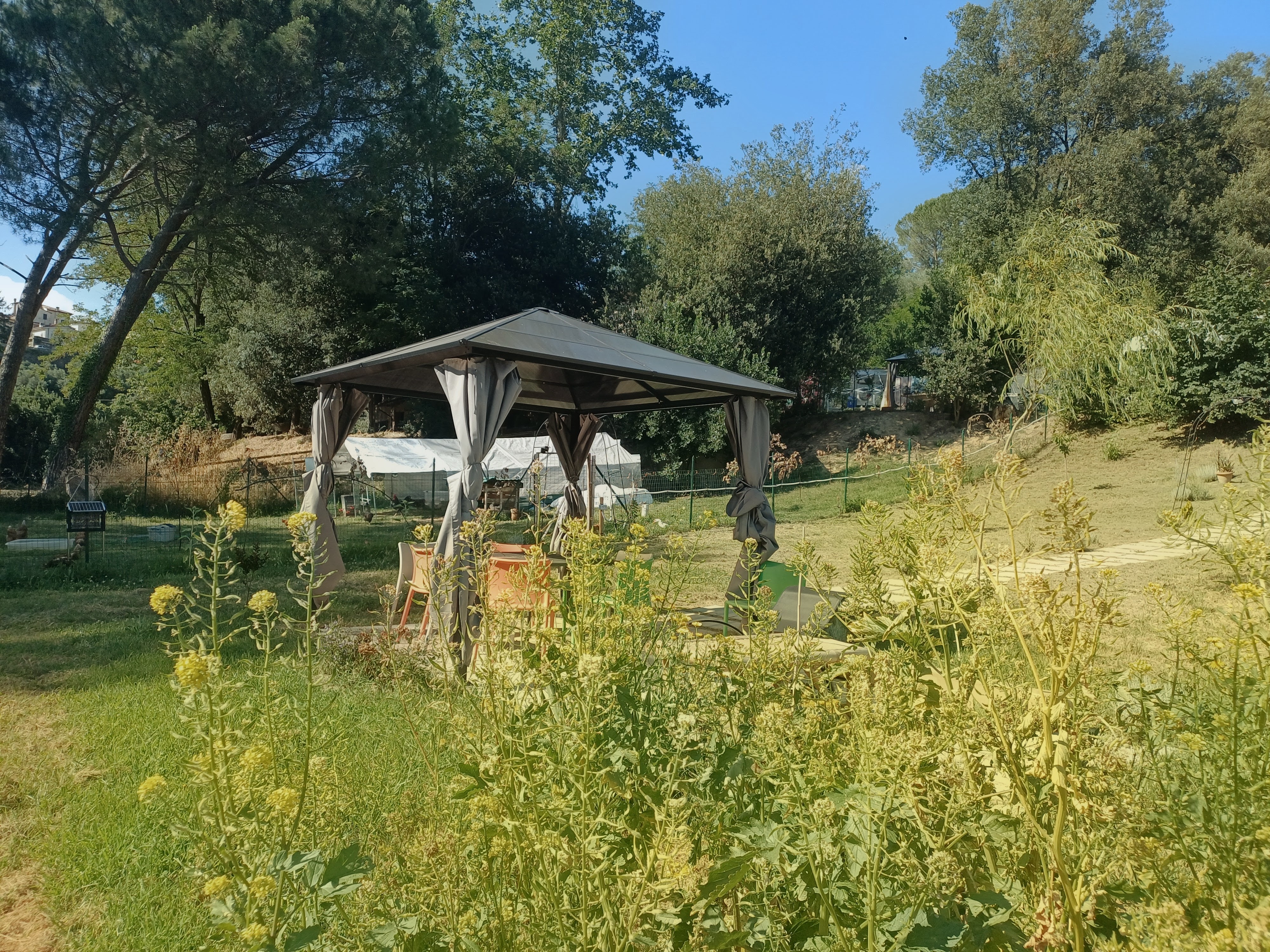 Flowering garden with outdoor pavilion, vegetable beds, and homestead landscape at Genevieve Grove in Tuscany