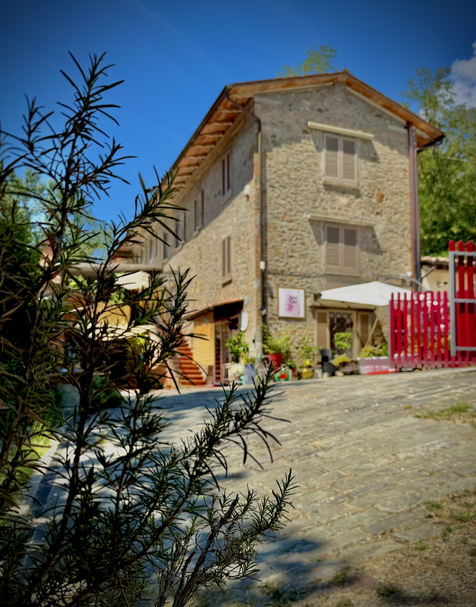 Genevieve Grove, a traditional Tuscan stone house with Mediterranean gardens in the hills of Vinci, Tuscany.