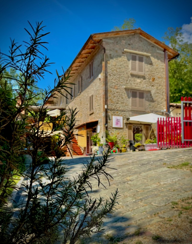 Genevieve Grove, a traditional Tuscan stone house with Mediterranean gardens in the hills of Vinci, Tuscany.