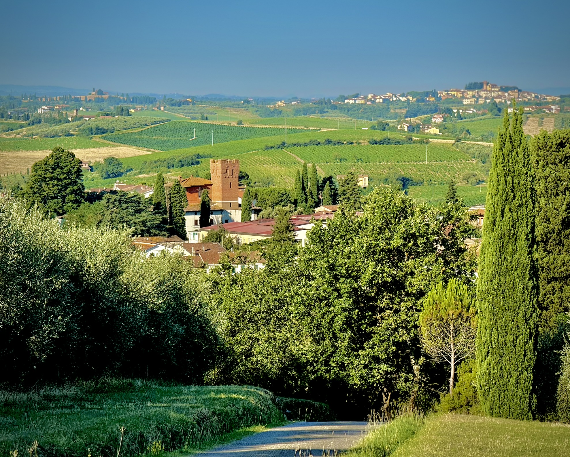 Panoramic view of Vinci in Tuscany surrounded by vineyards, olive groves and rolling hills.